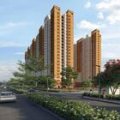 Prestige Evergreen