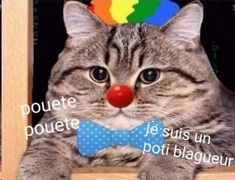 Belluga