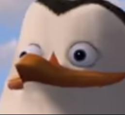 MrW3ST