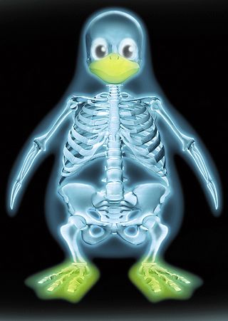 azessai