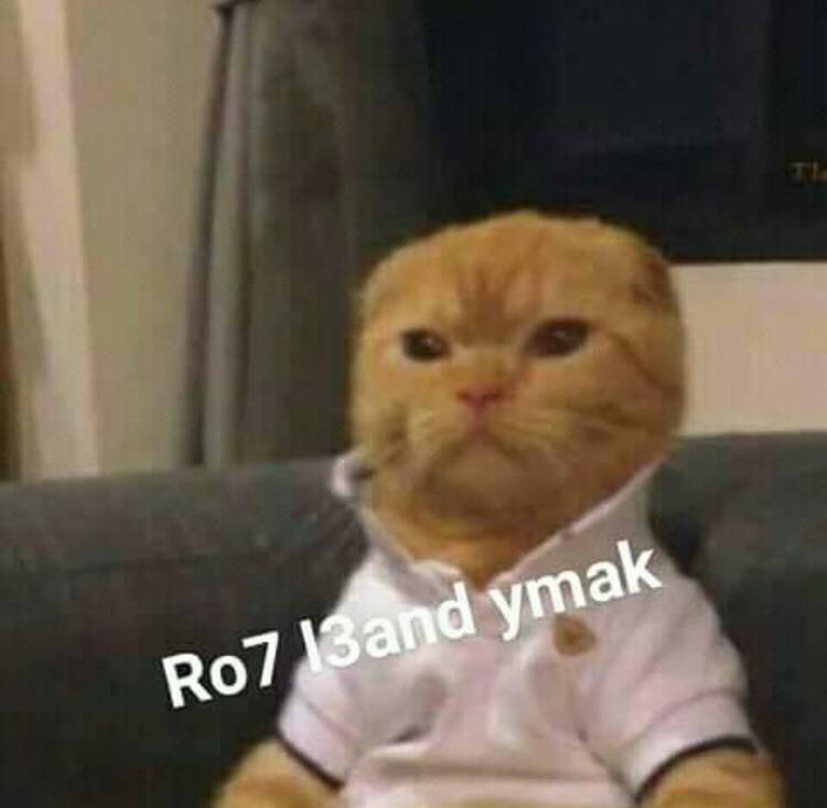 waynely