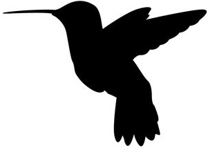 hbird