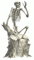 Ayatix
