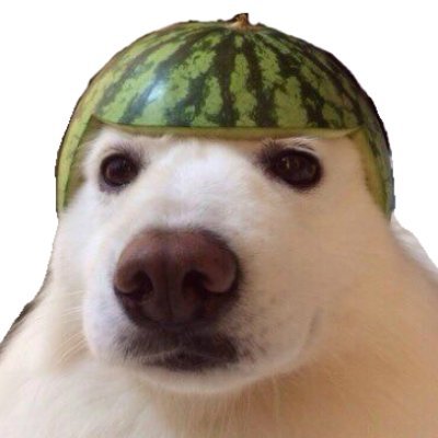 L9_Rudy