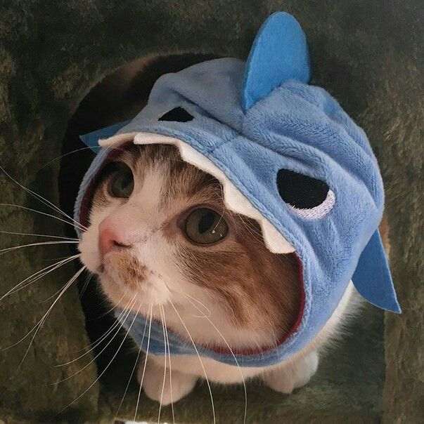 EmpereurMiro