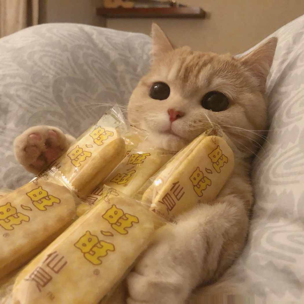 Hugo