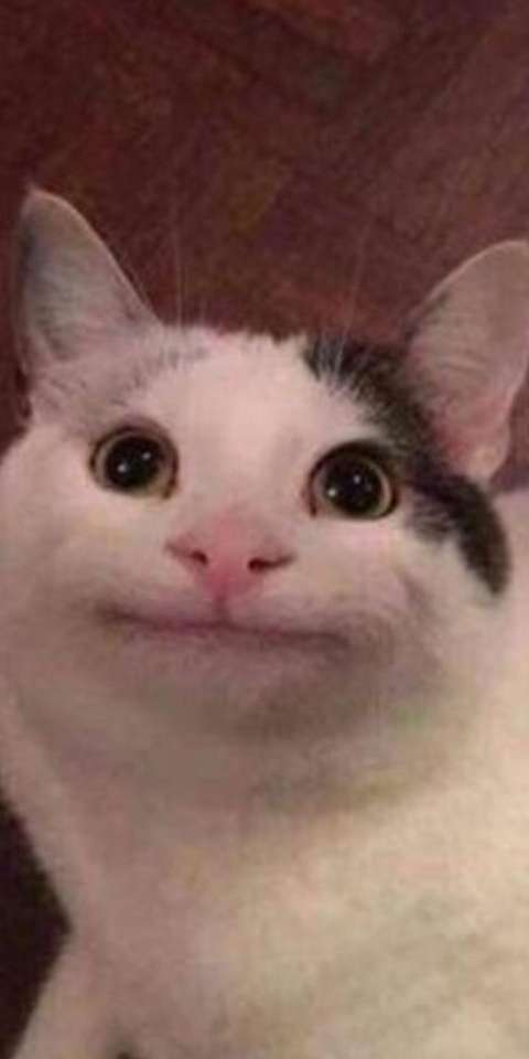 Kikiss
