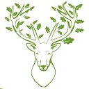 green_eyed_deer