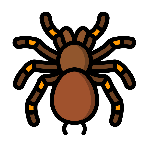 matypusaffinis