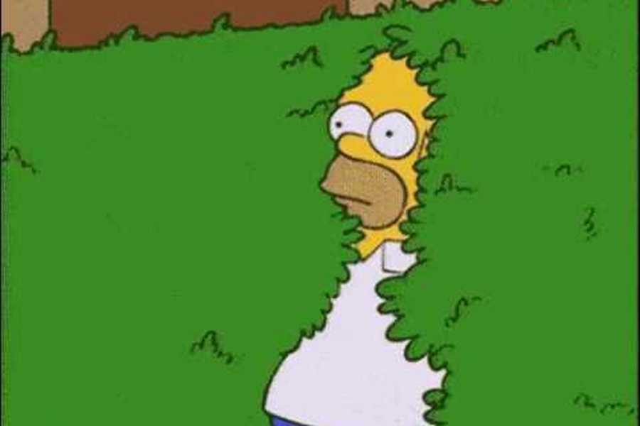 homer