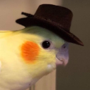 lstz
