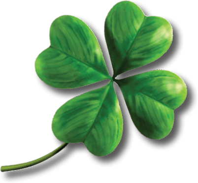 4leafclover