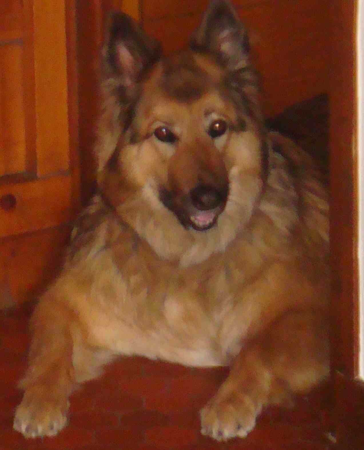 Tina