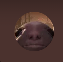 ky_