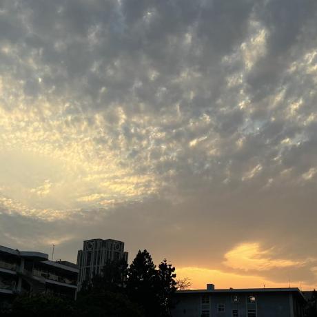pinzhen0910