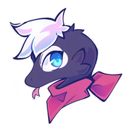 Sheinxy