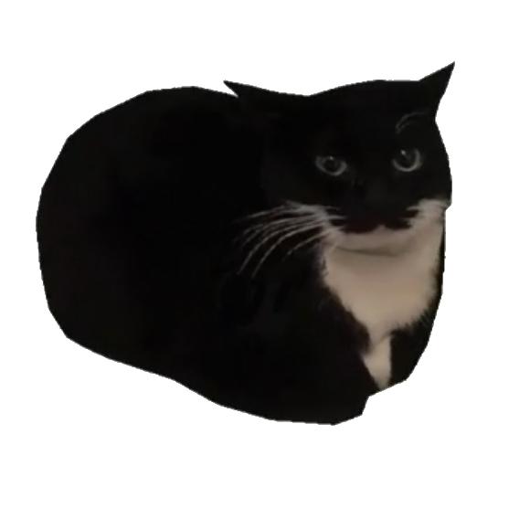 Aluxray