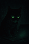 Shadowyya